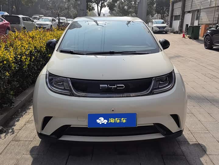 Фото 2 - BYD Dolphin