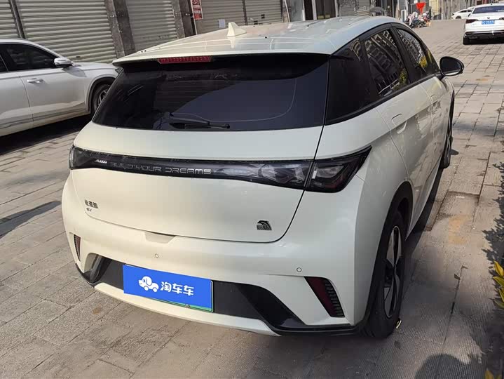 Фото 3 - BYD Dolphin