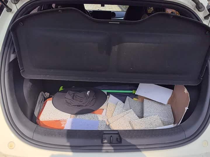 Фото 4 - BYD Dolphin