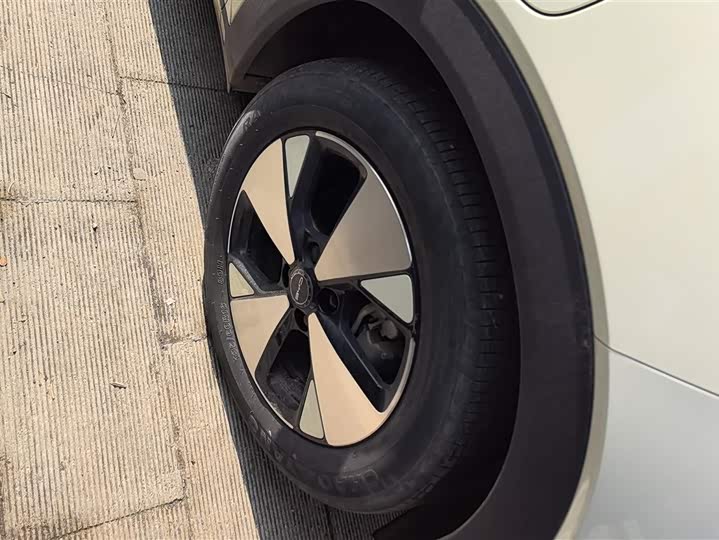 Фото 6 - BYD Dolphin