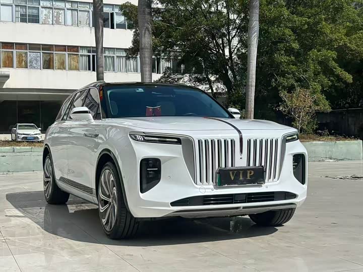 Фото 1 - Hongqi E-HS9