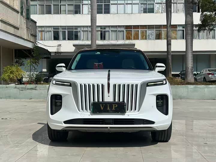 Фото 2 - Hongqi E-HS9