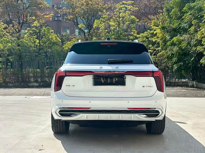 Фото 8 - Hongqi E-HS9