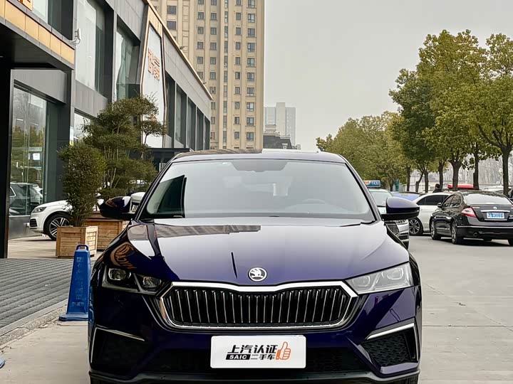 Фото 2 - Skoda Octavia Pro