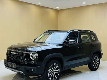 Фото 1 - Haval Dargo