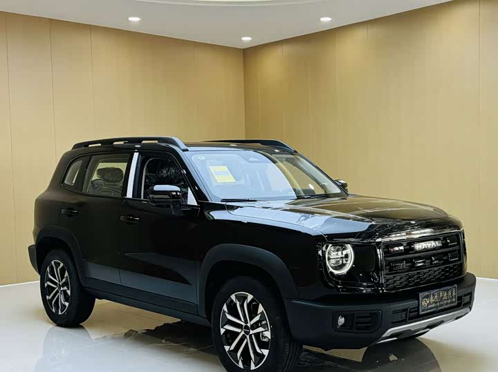 Фото 3 - Haval Dargo