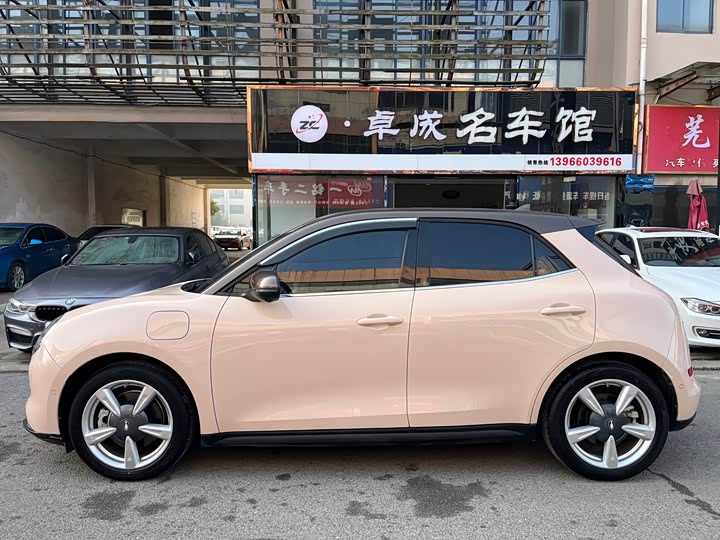 Photo 3 - Ora Good Cat (03)