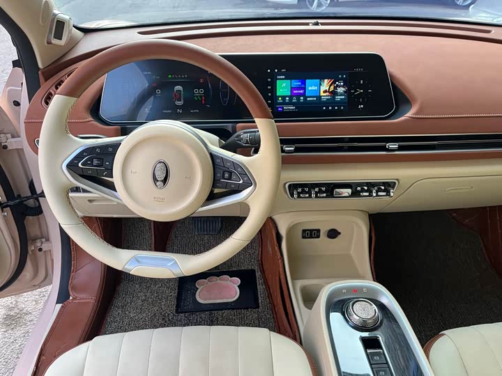 Photo 7 - Ora Good Cat (03)