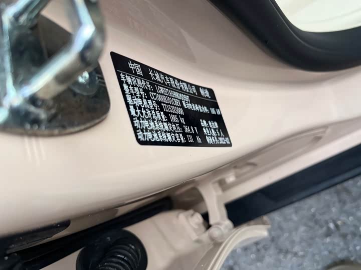 Photo 9 - Ora Good Cat (03)