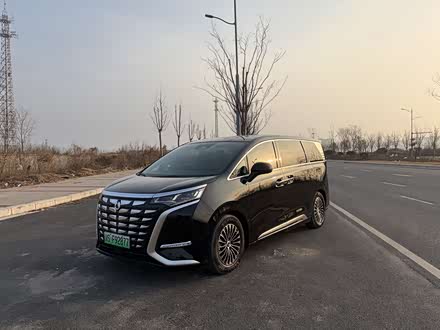 Фото 1 - Denza D9