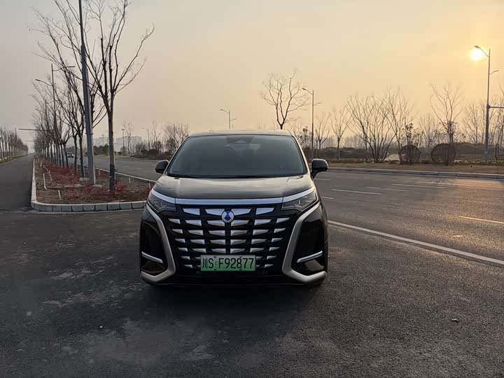 Фото 2 - Denza D9