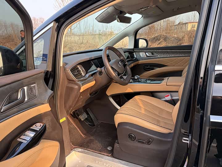 Фото 4 - Denza D9