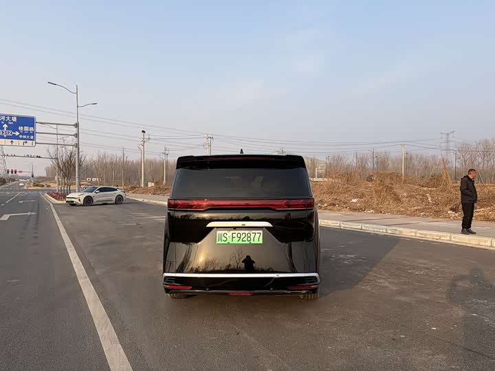 Фото 8 - Denza D9