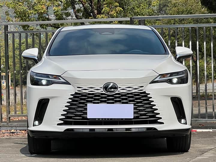 Фото 2 - Lexus RX
