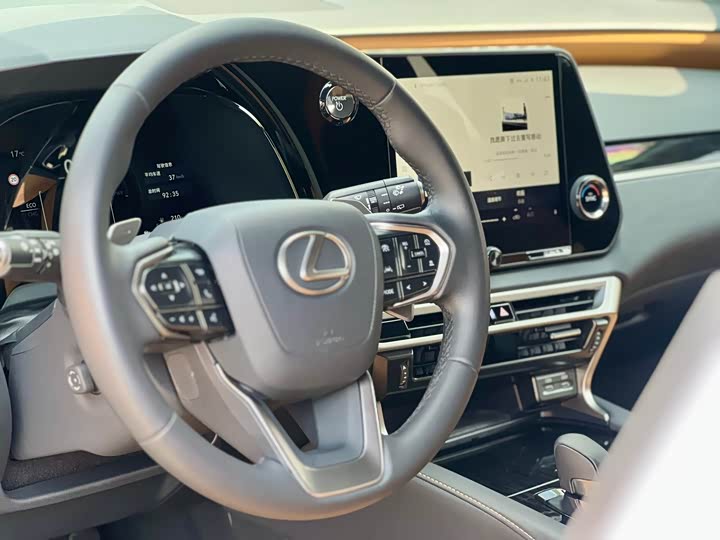 Фото 5 - Lexus RX