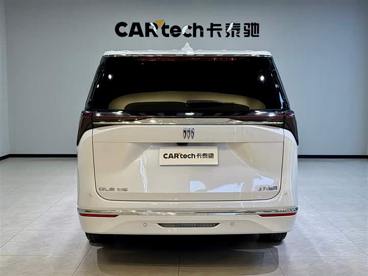 Фото 5 - Buick GL8 ES