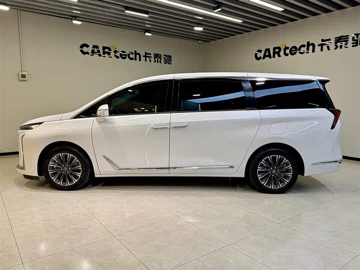 Фото 7 - Buick GL8 ES