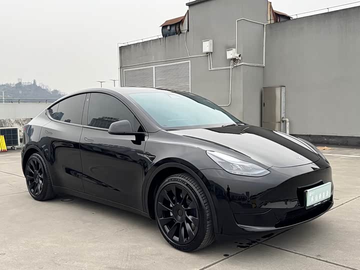 Фото 3 - Tesla Model Y