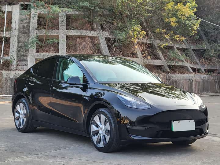 Фото 3 - Tesla Model Y