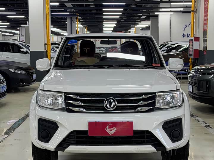 Фото 2 - Dongfeng Rich