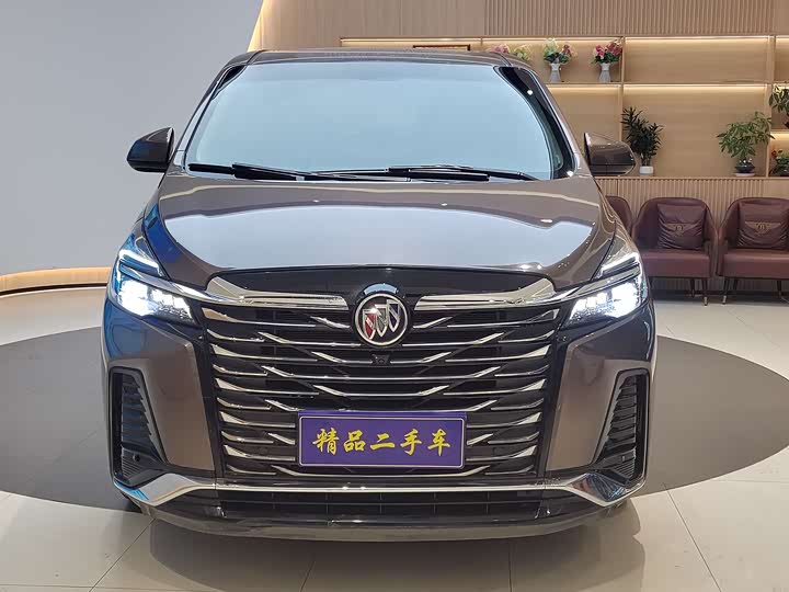 Фото 2 - Buick GL8 ES