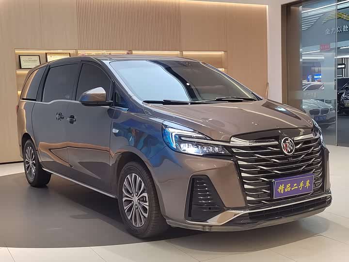 Фото 3 - Buick GL8 ES