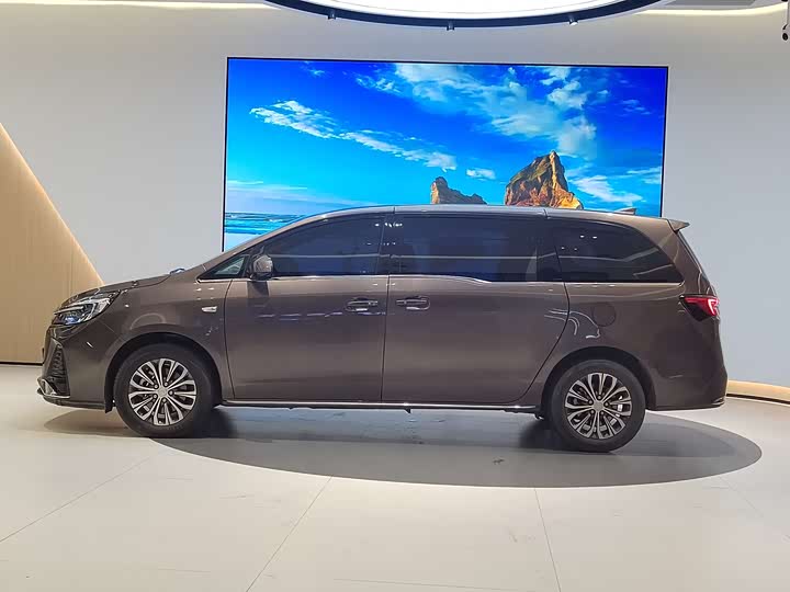 Фото 4 - Buick GL8 ES