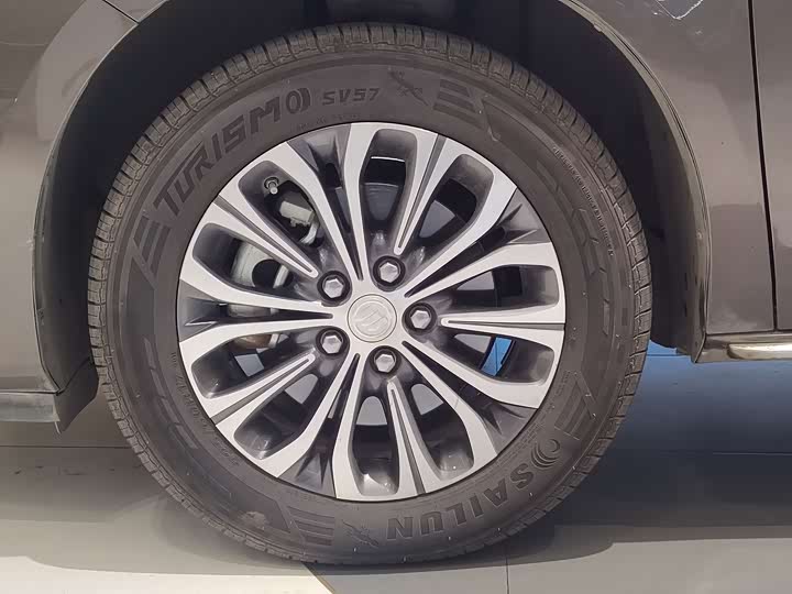 Фото 5 - Buick GL8 ES