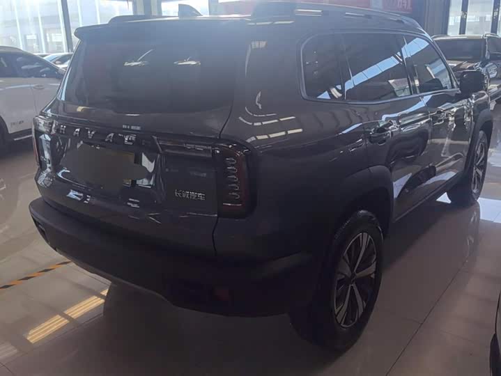 Фото 3 - Haval Dargo