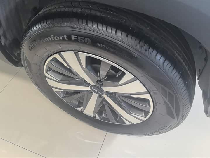 Фото 6 - Haval Dargo