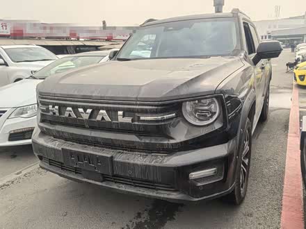 Фото 1 - Haval H-Dog