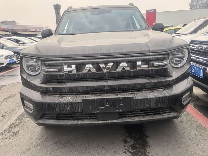 Фото 2 - Haval H-Dog