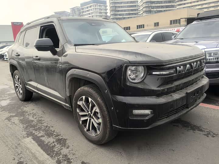 Фото 3 - Haval H-Dog