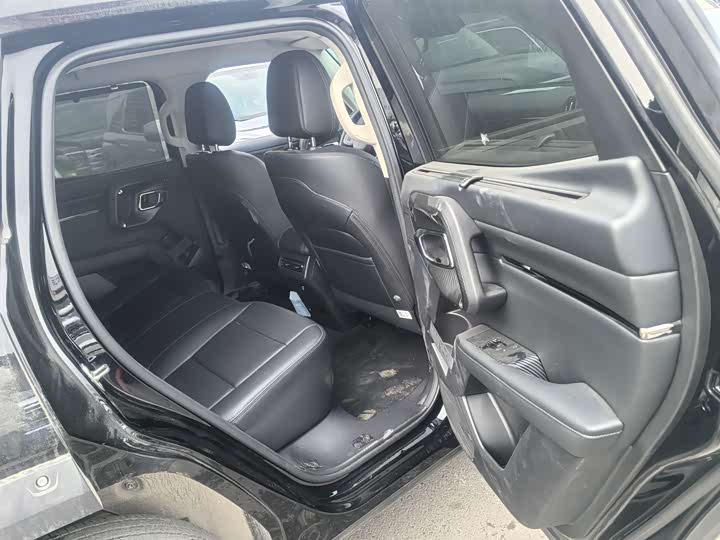 Фото 7 - Haval H-Dog