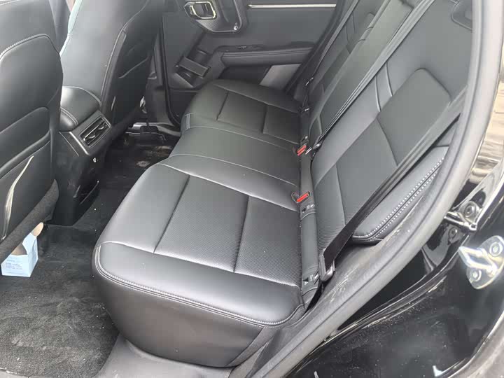 Фото 9 - Haval H-Dog