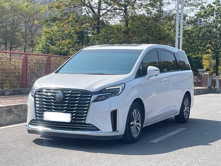 Фото 1 - Buick GL8 ES