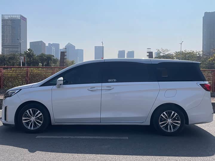 Фото 7 - Buick GL8 ES