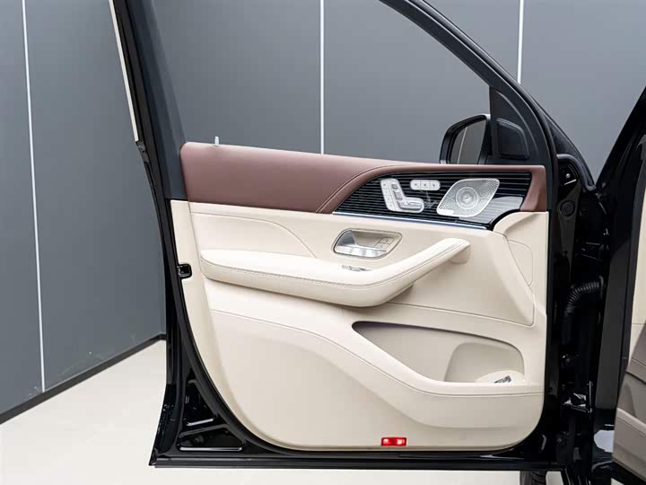 Фото 8 - Mercedes-Benz Maybach GLS