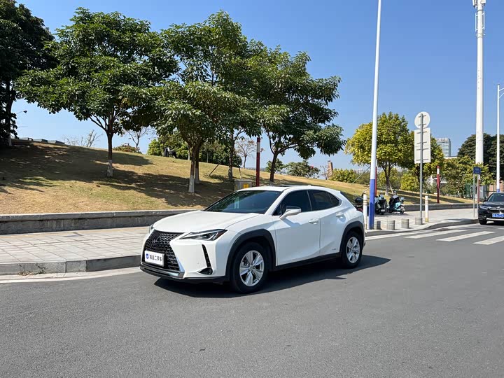 Фото 1 - Lexus UX