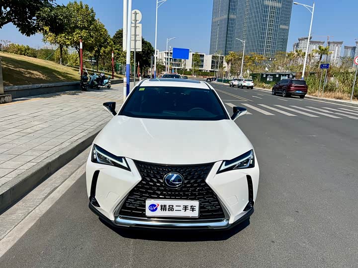 Фото 2 - Lexus UX