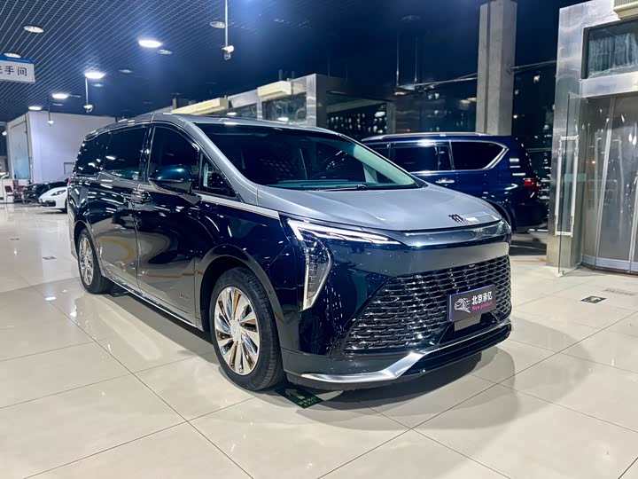 Фото 3 - Buick GL8 Century