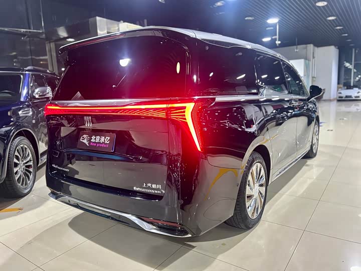 Фото 8 - Buick GL8 Century