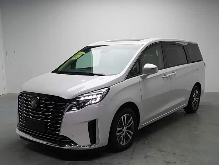 Фото 1 - Buick GL8 ES