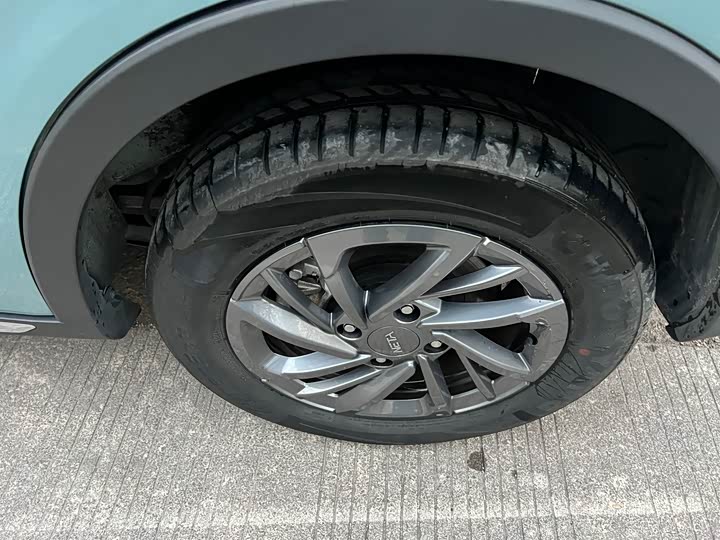 Фото 8 - Hozon V