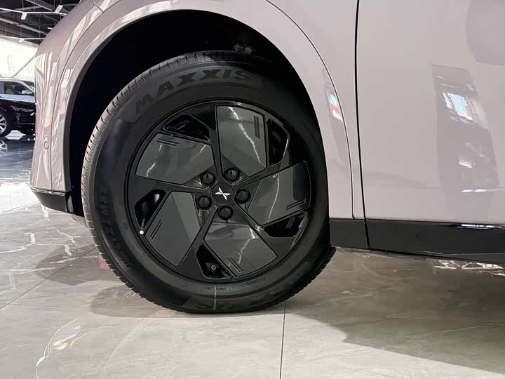 Фото 3 - XPeng G6