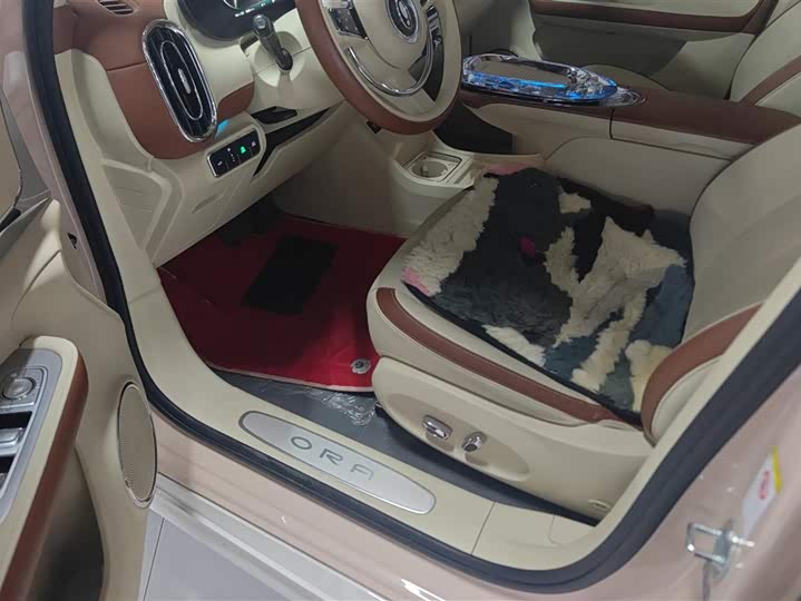 Фото 9 - Ora Ballet Cat