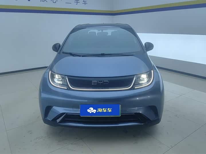 Фото 2 - BYD Dolphin
