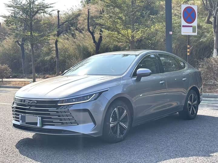 Фото 1 - BYD Destroyer 05