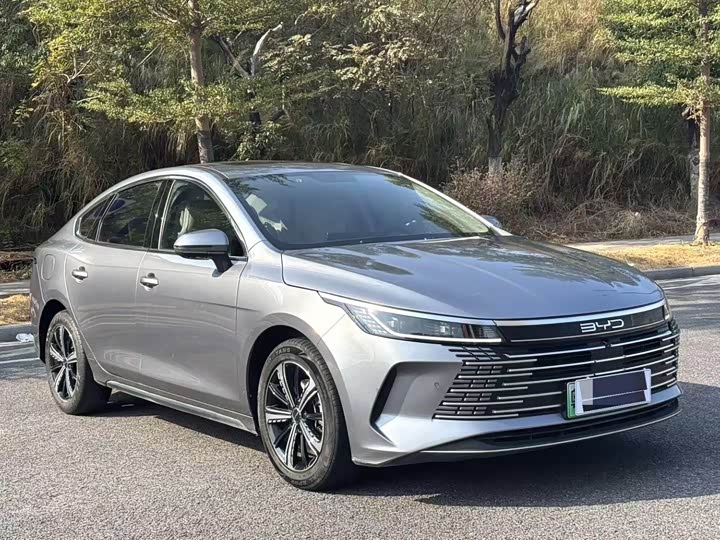 Фото 2 - BYD Destroyer 05