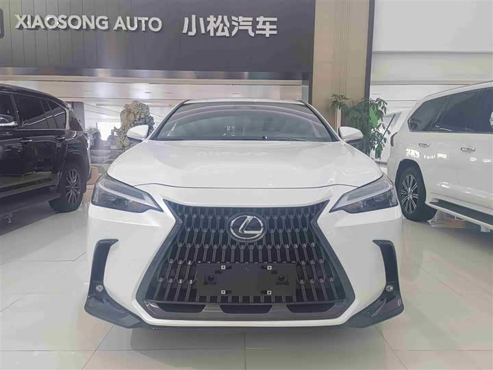 Фото 2 - Lexus NX